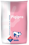  pigipro   